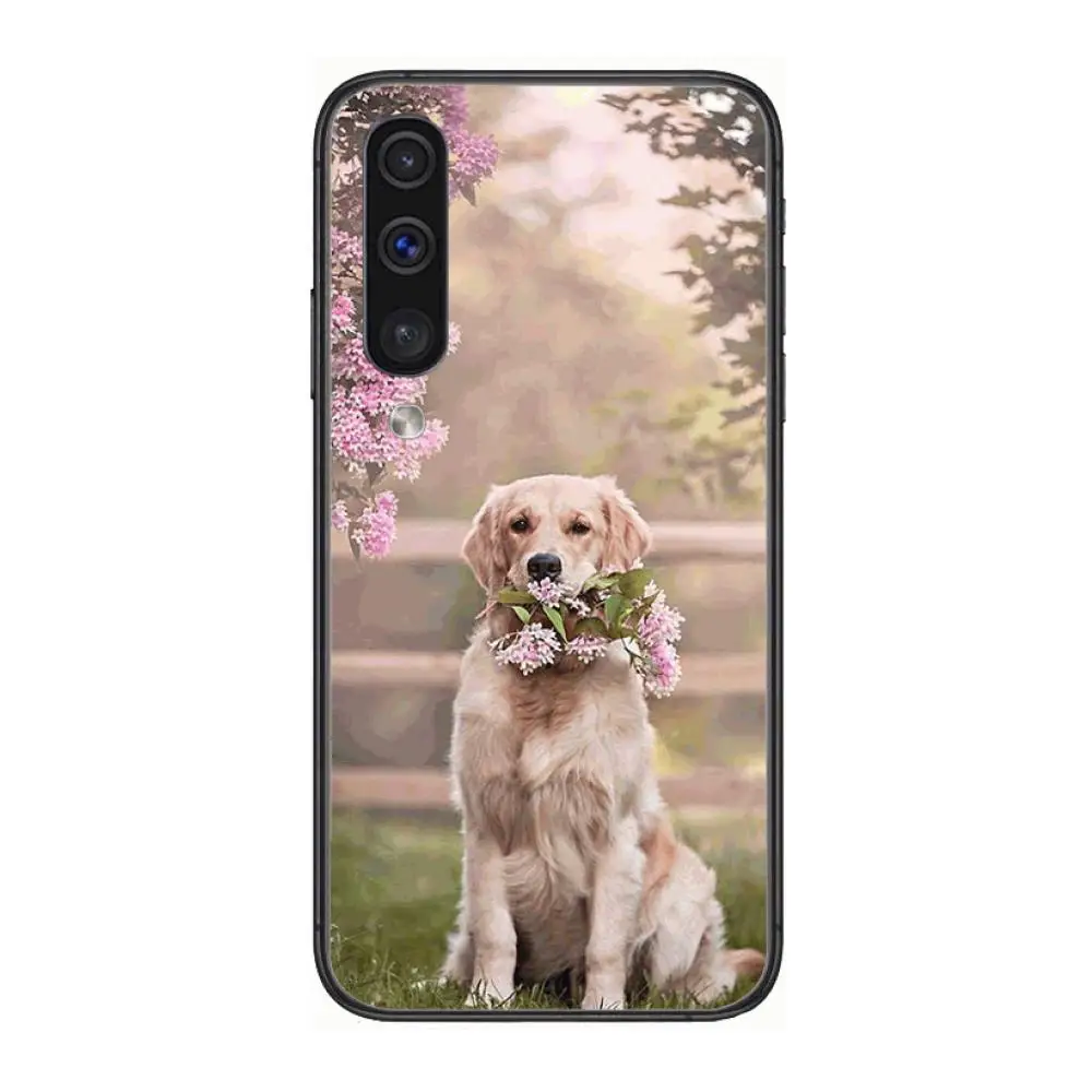 

Teddy Bulldog Pomeranian Corgi Golden dog Cool Phone Case Hull For Samsung Galaxy A 3 5 6 7 8 9 E 2018 Plus 2017 E S Black She