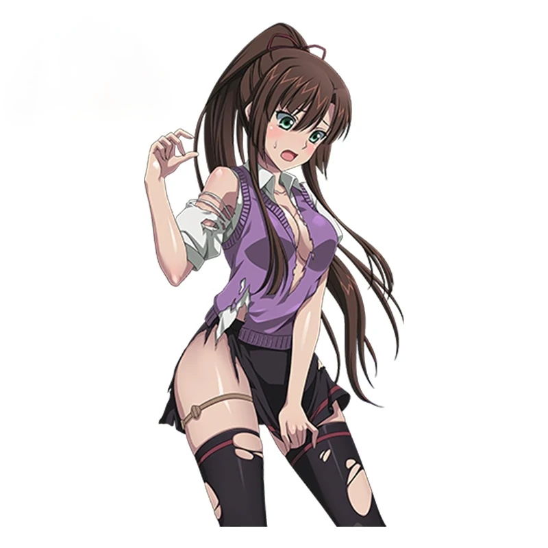 

Car Sticker Anime Kirasaka Sayaka Vinyl Wrap Sexy Beauty Warrior Car Decal Racing Sticker Funny Graphic Car Decoration PVC13x9cm