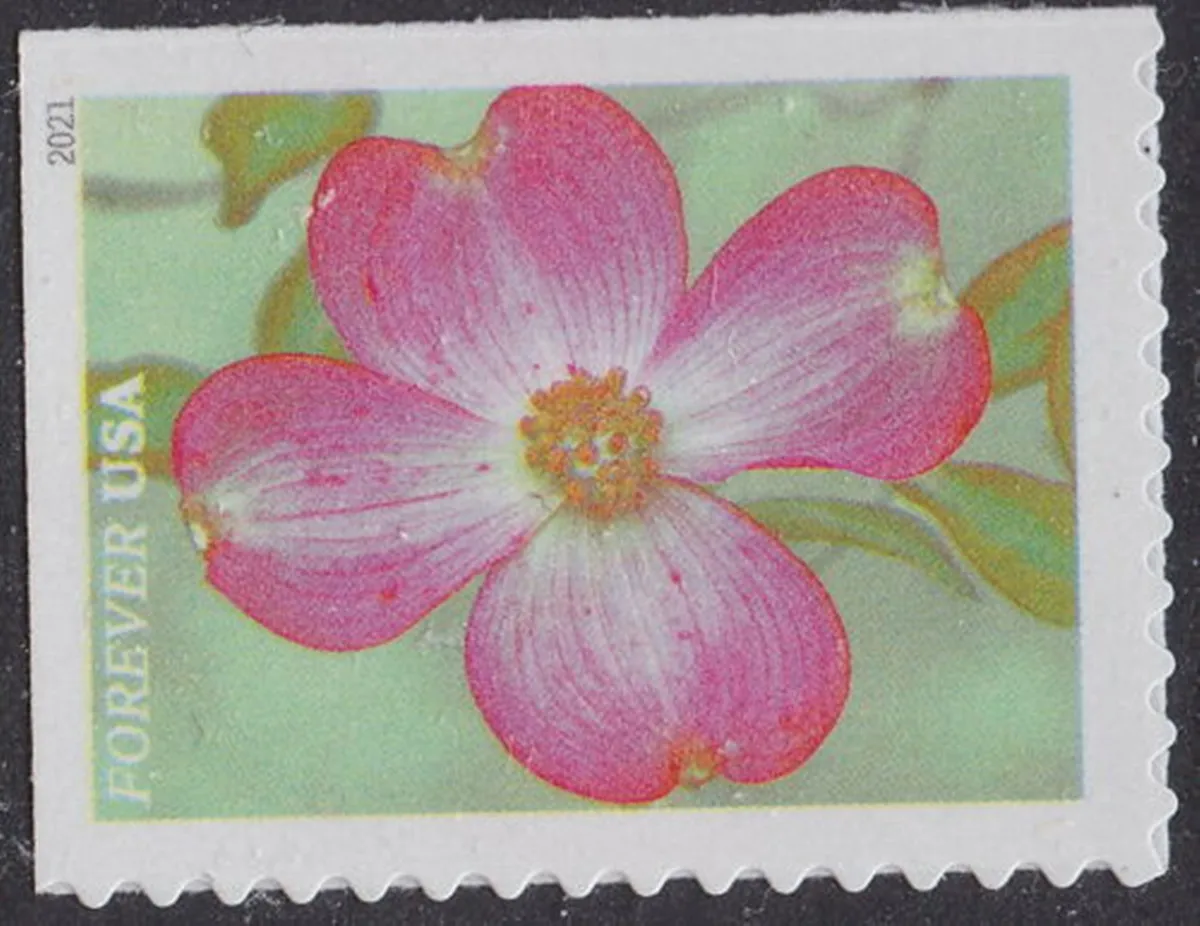 

Garden Beauty Forever Postage Stamps (80 Stamps) New