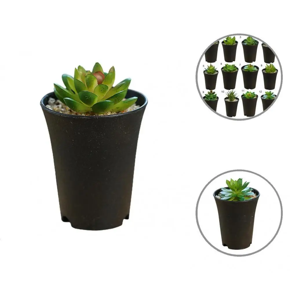 

Eco-Friendly 1 Set Good-Looking Imitation Plants with Pots Lightweight Artificial Plants No Water Wedding Decor