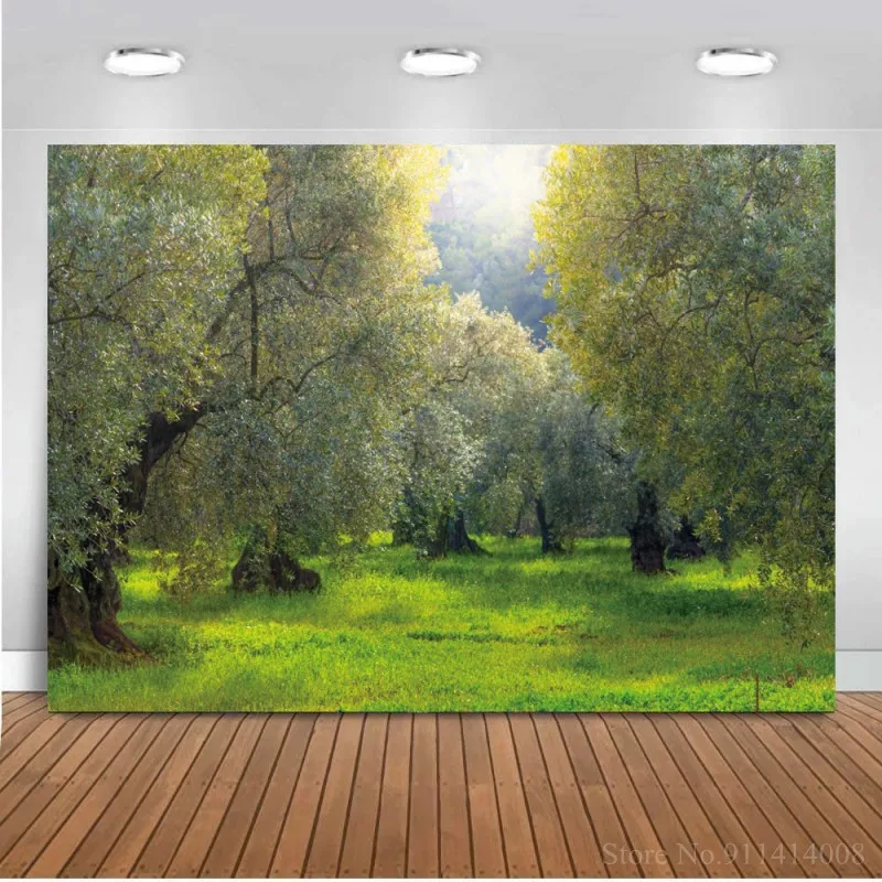 Каменная дорога с односторонним окраинах Живописный фон для фотосъемки