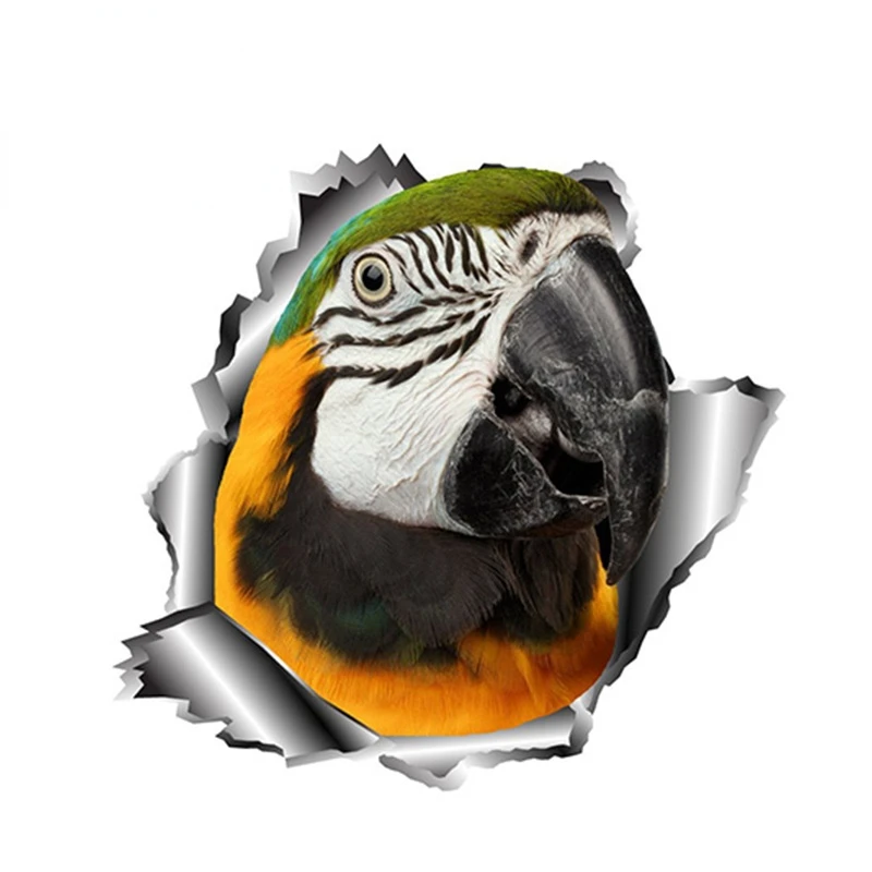 

Design Parrot Car Sticker Torn Metal Car Window Bumper Decal Animal Stickers Full Color Decals Reflective KK13*13cm