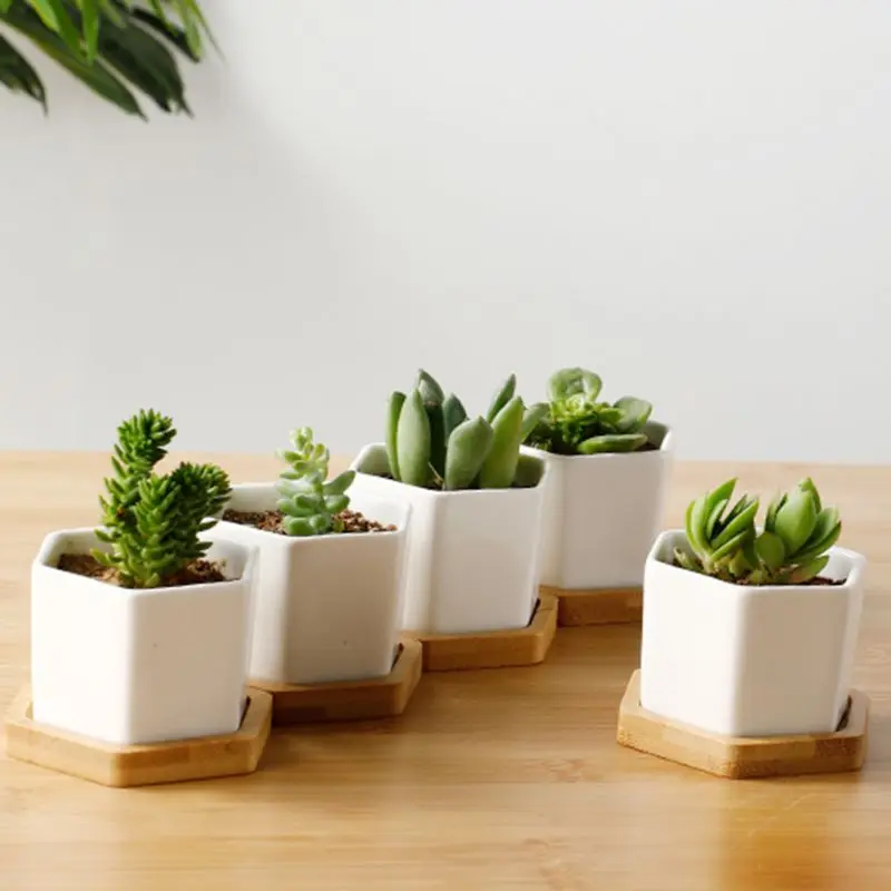

Six-sided Ceramic Flower Pot Succulent Flowerpot Set With Bamboo Support For Desktop Office Decoration