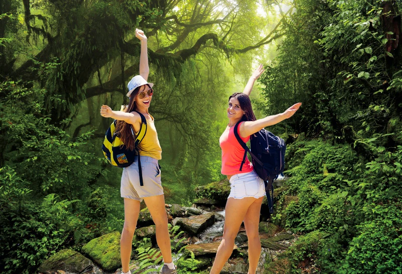 Фон для фотосъемки с изображением водопада весеннего парка сада природы пейзажа