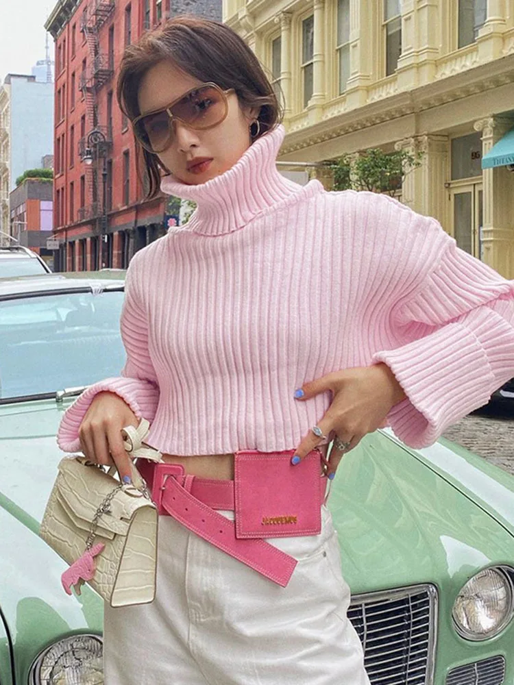 

Sifreyr Solid Turtleneck Sweater Women Autumn Winter Long Sleeve Knitted Pullovers Loose Cropped Sweaters Basic Knitwear Jumper