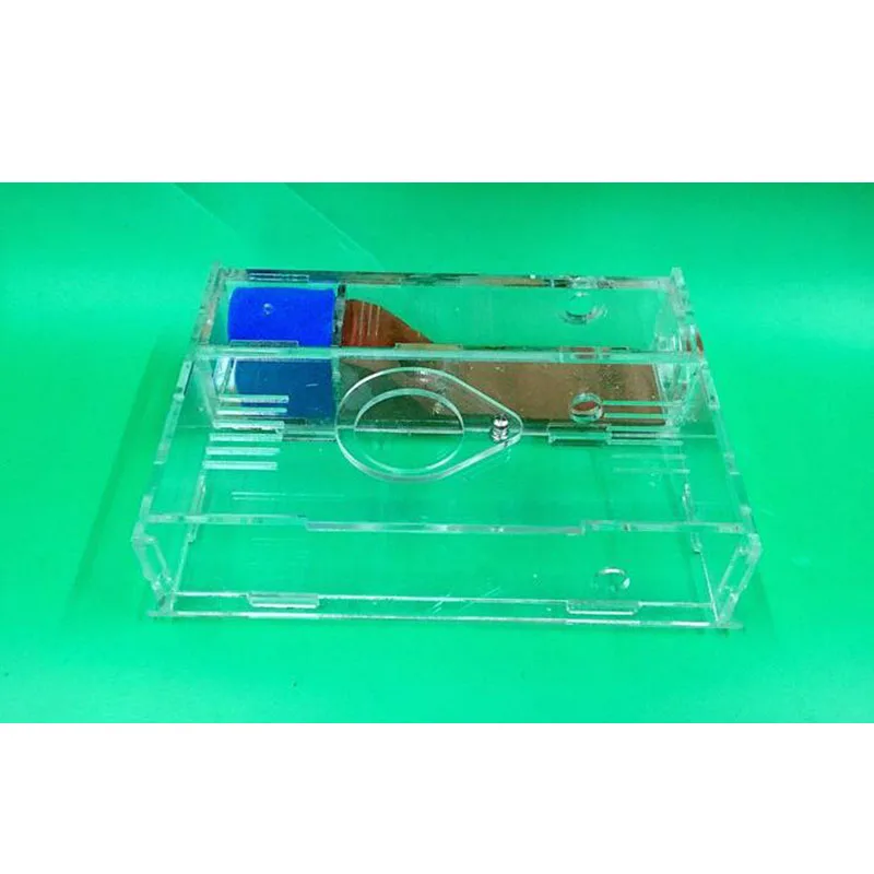 Собственная улитка дом Муравьиное гнездо акриловый муравей замок область