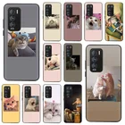 Черный мягкий чехол для Realme 8, 6, 7, X7 Pro, C15, C21, C20, C11, C25, GT Neo, V13, V15, милая кошка, забавное искусство, искусство, коридор, C20A, C21Y, GT Master
