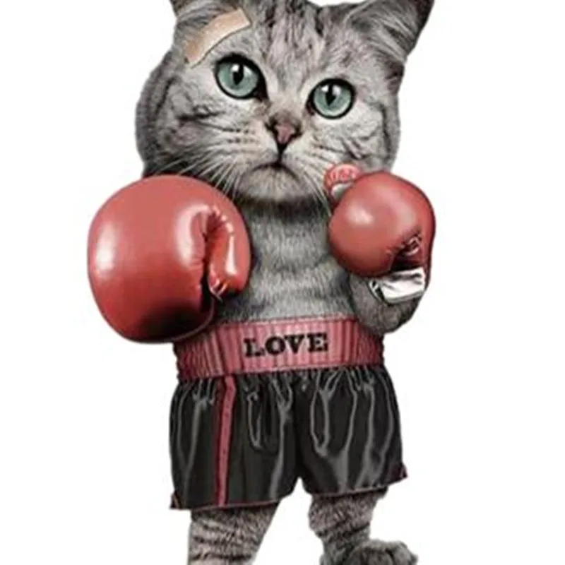 

Patches Boxing Cat Parches ropa termoadhesivos stranger things appliques for clothing stickers iron on clothes free shipping