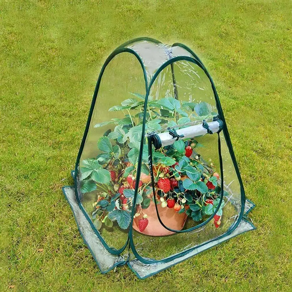 

Mini Portable Plastic Greenhouse Clear Cover Flowers Bonsai Plants Grow Tent