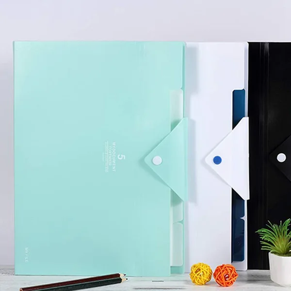 Папка-гармошка 5 карманных гармошек органайзер для файлов формата А4 размер букв