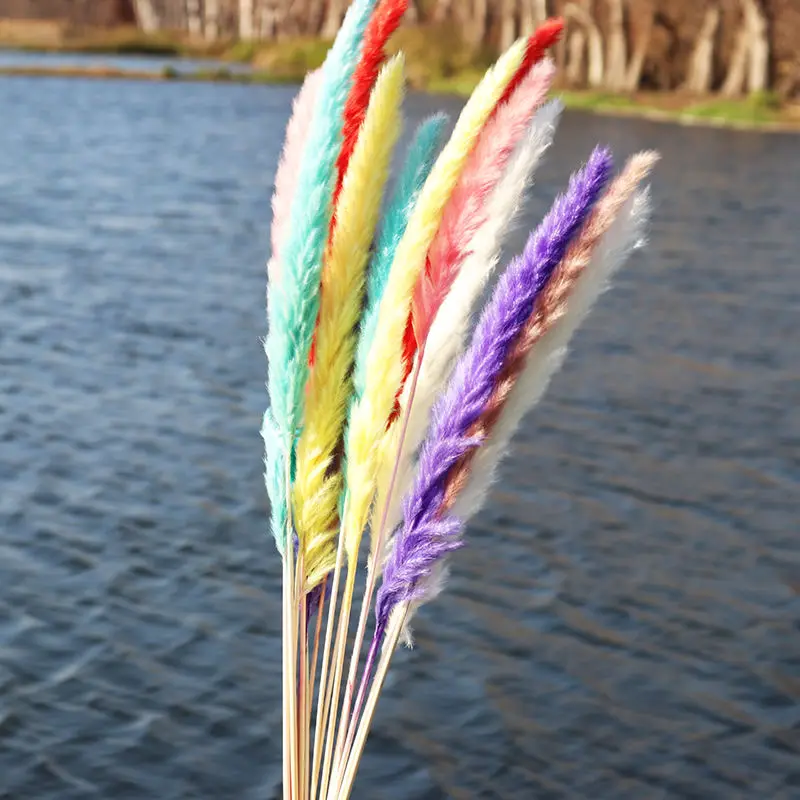 

10Pcs/Lot Natural Dried Flowers Pampas & Rabbit Tail Grass Branch For Home Bedroom Decor Office Accessories