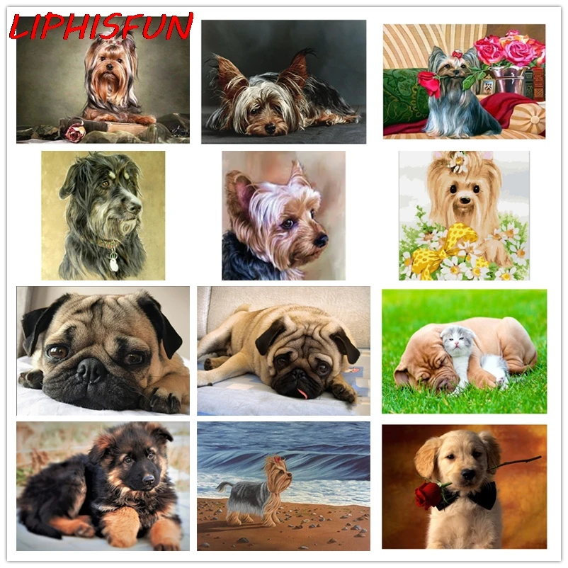 

5D Diy Алмазная картина "животная собака" полная дрель квадратные/круглые стразы Алмазная вышивка крестиком домашний декор мопс