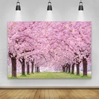 Весенние фоны для фотографии розовый цвет вишневые цветы Дерево Трава путь парк живописный фото фон фотосессия Фотостудия