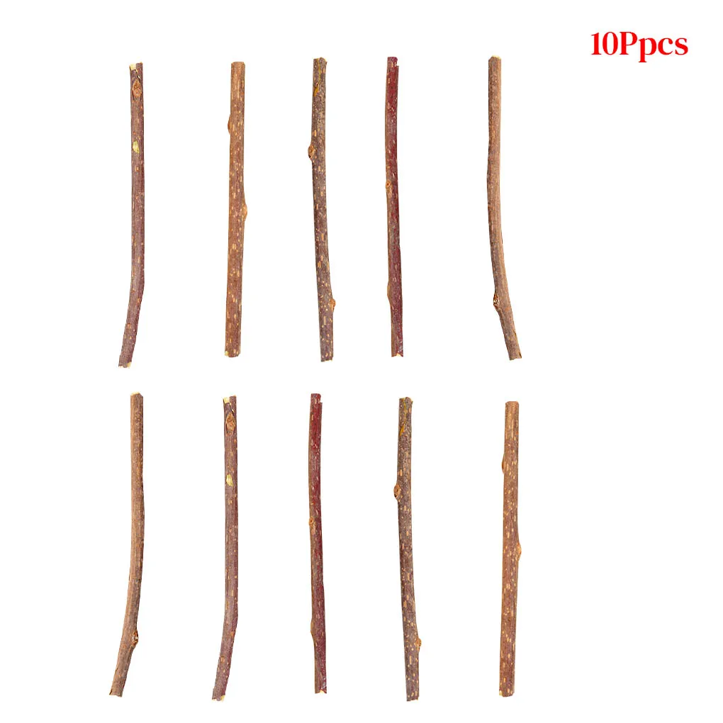 

10pcs Silvervine Catnip Stick Cat Cleaning Teeth Molar Toothpaste Stick Actinidia Fruit Cat Snacks Sticks Pet Cat Cleaning