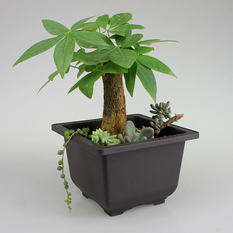 Пластиковые цветочные горшки из искусственного фиолетового песка прямоугольные