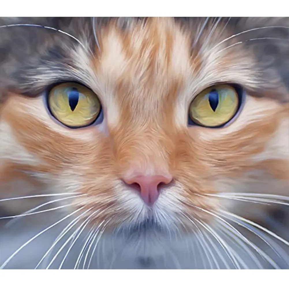 5D алмазная Картина Набор для вышивки крестиком кошка Красочные ручной