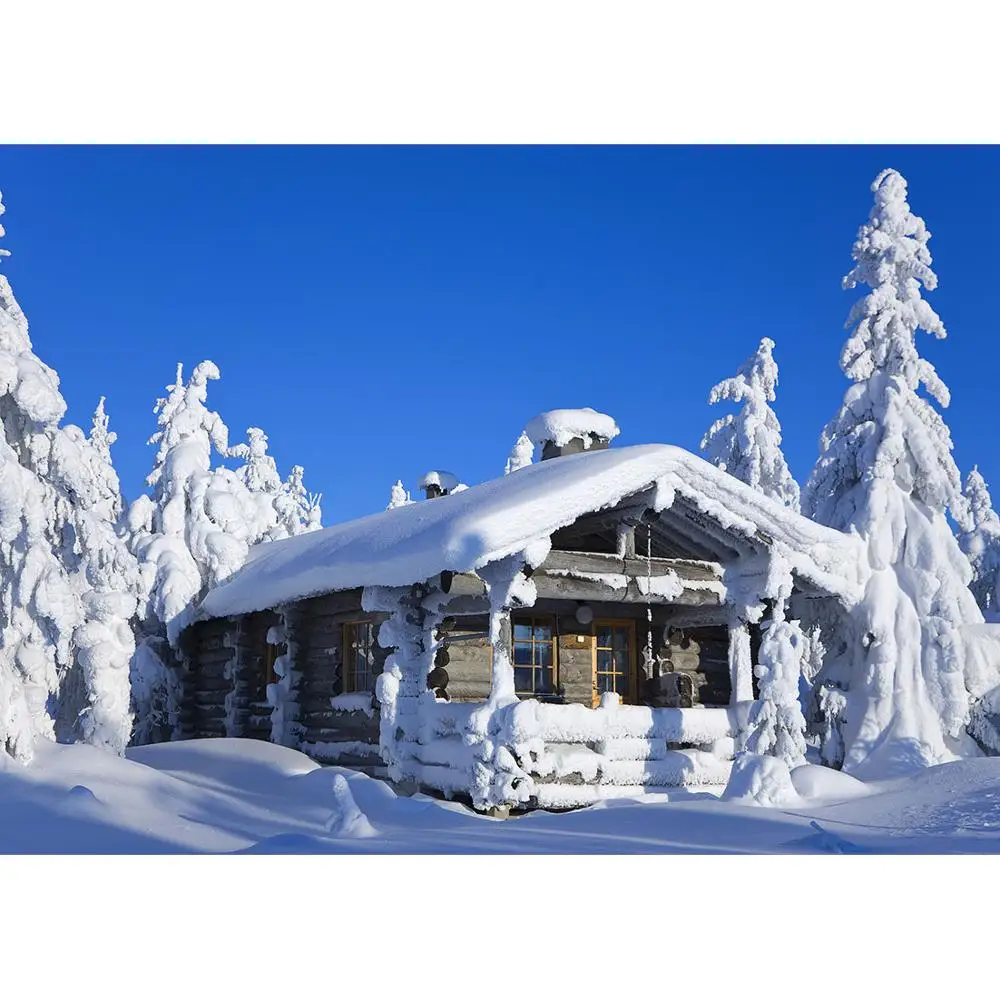 

Рождественские Зимние фоны для фотосъемки с изображением сосны для фотостудии Виниловые фотофоны для детской портретной фотосъемки