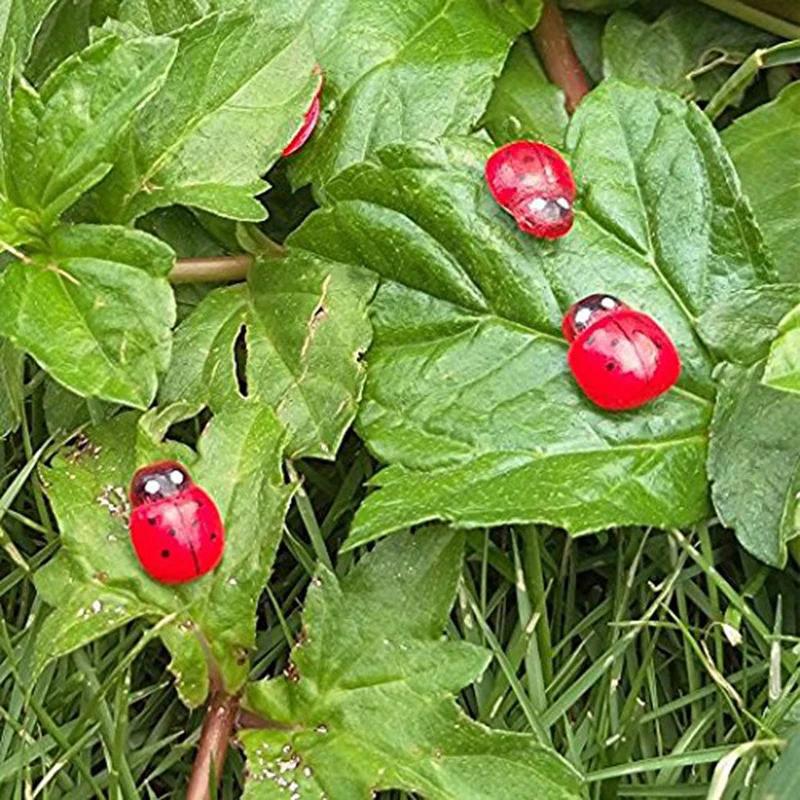 100 шт. украшения для дома и сада миниатюрные дамские баги красный Мини ландшафт