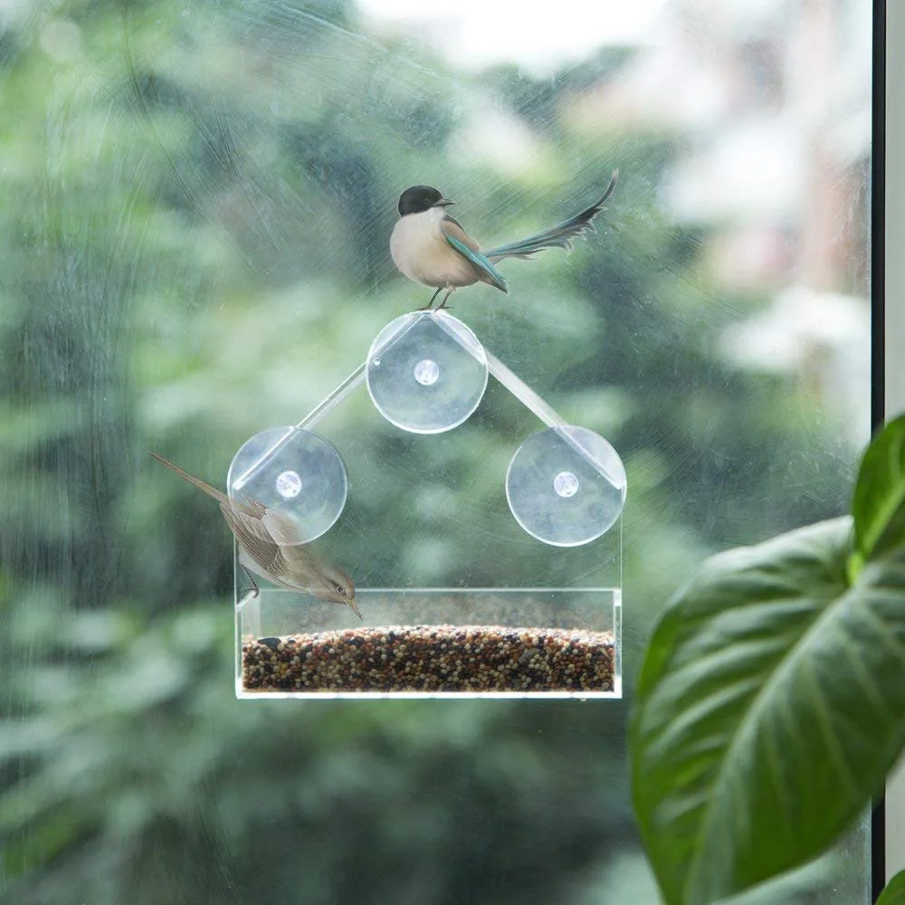 

Transparent Tray Birdhouse Suction Cup Mount House Type Feeder Bird Feeder Window Viewing Bird Feeders Pet Water Feeder Acrylic