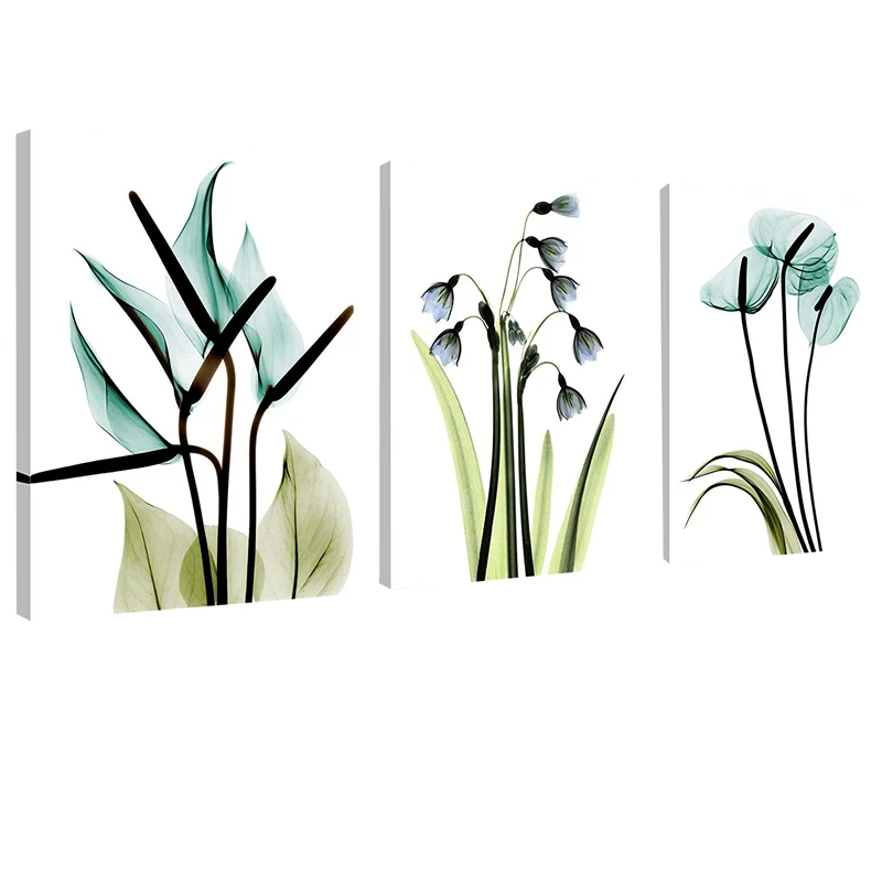 Акция 3 шт. красивые элегантные цветы картины принты на холсте настенные