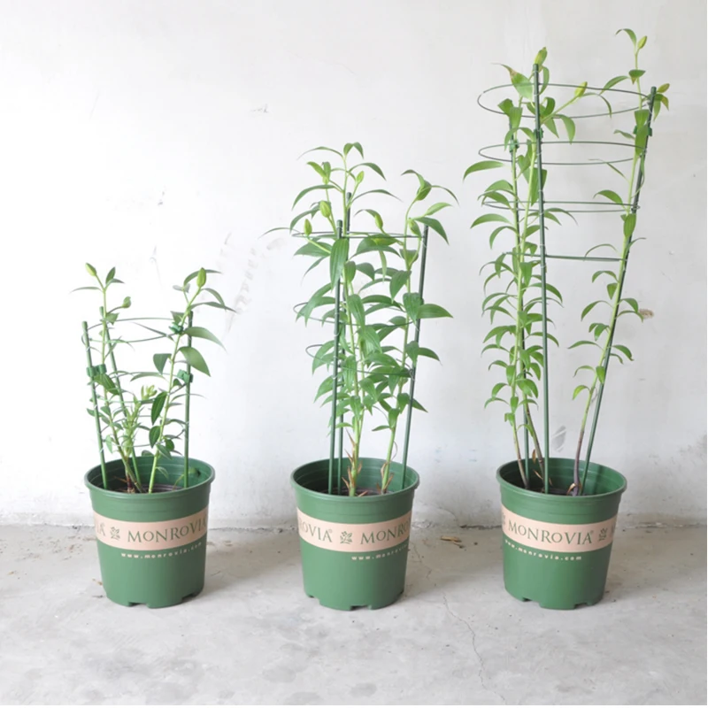 Стойка для альпинизма Садовые принадлежности полка-подставка 45 см Растения