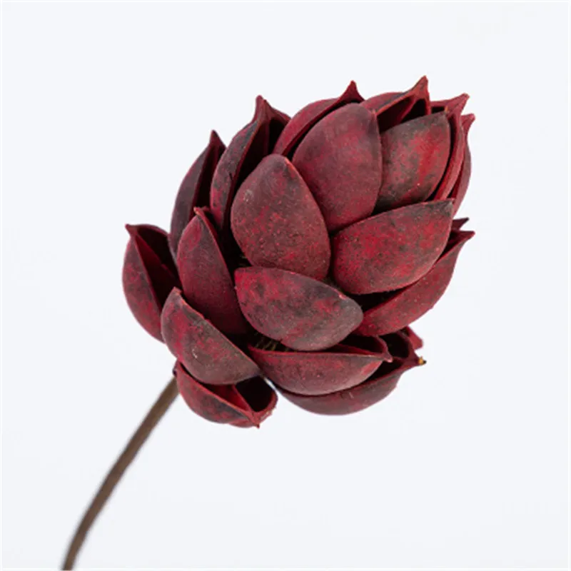 Sycamore Натуральные сушеные цветы ручной работы украшение для дома гостиной