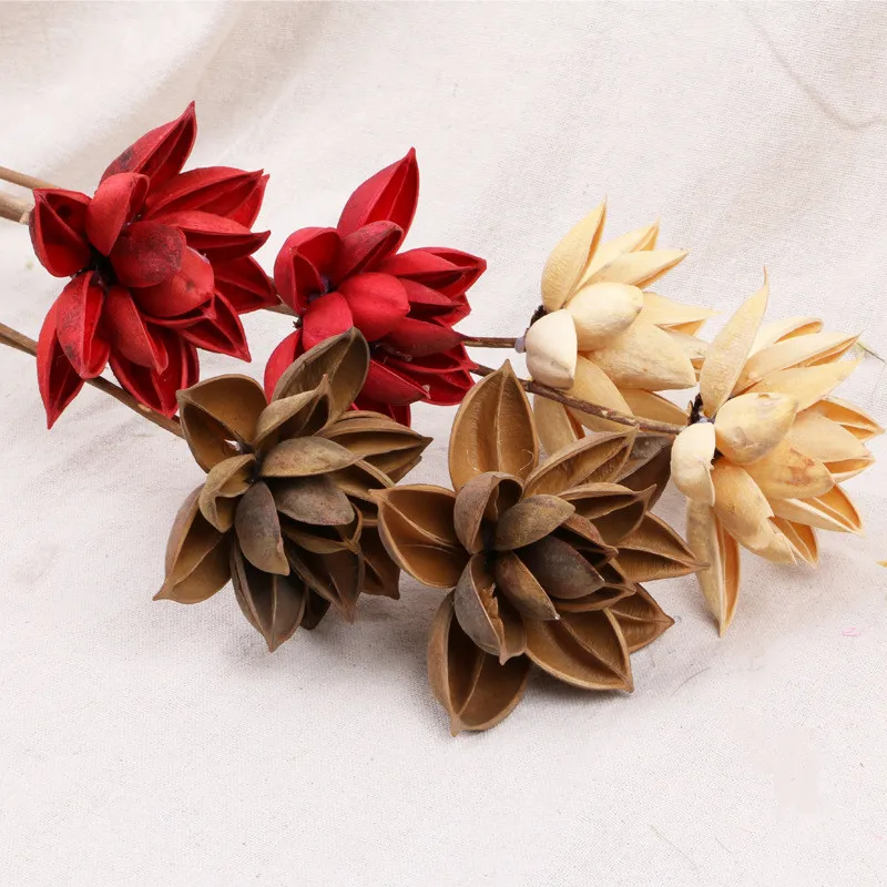 

Fresh Style Preserved Dried Zen Lotus Bauhinia Variegata Handmade Home Desktop Office Garden Mother's Day Wedding Decoration