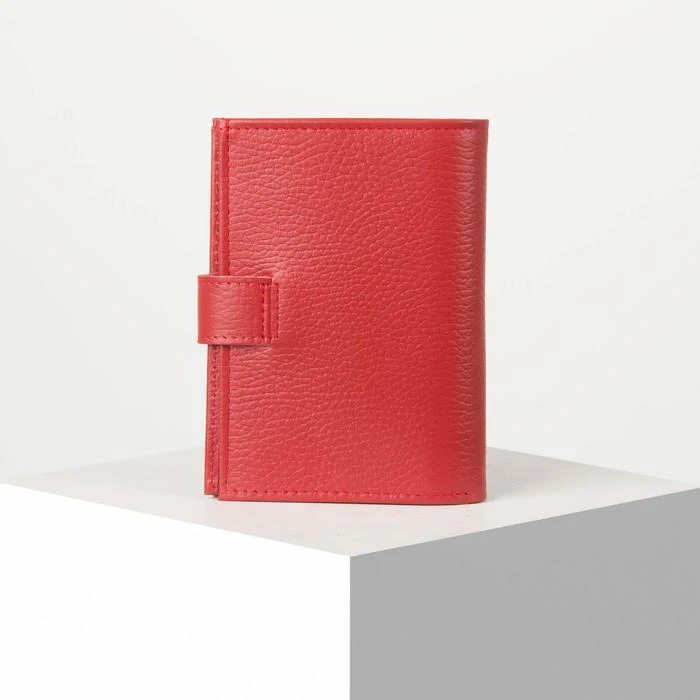 Рисунок 4 - Обложка для автодокументов и паспорта