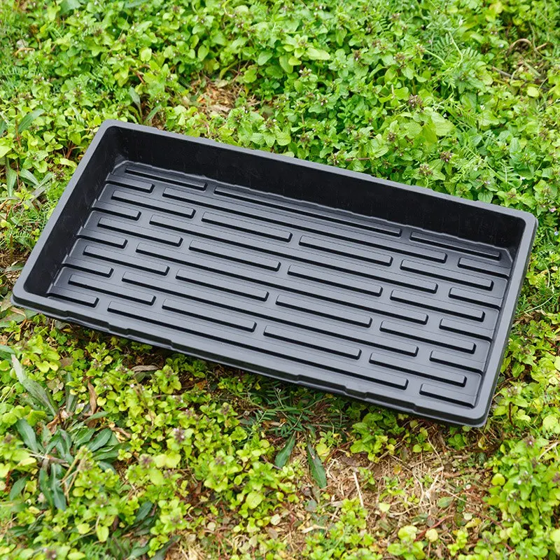 

5 Packs Plastic Gg Trays Seed Tray Seedling Starter for Greenhouse Hydroponics Seedlings Plant Germination