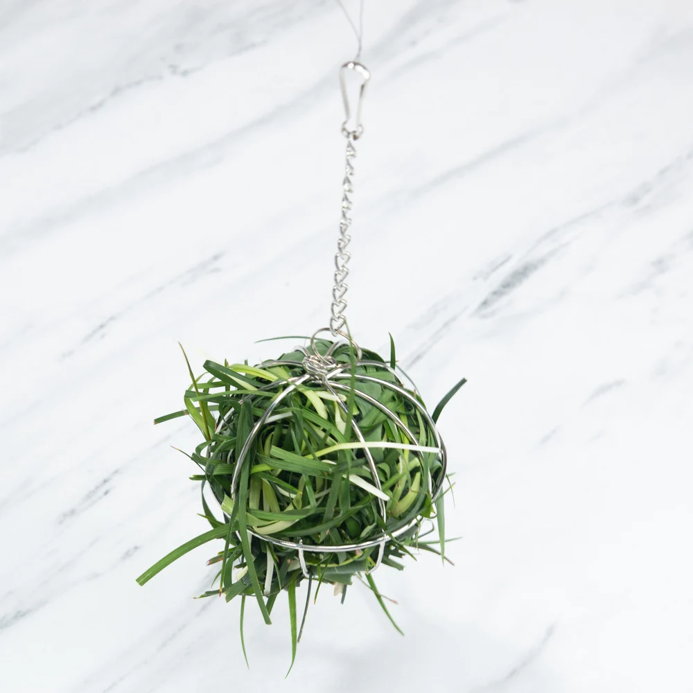 Круглый шар из нержавеющей стали для кормления домашних животных|Принадлежности