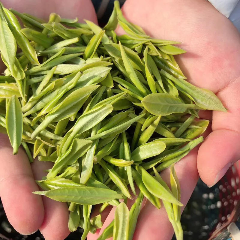100 г китайская белая Anji Bai Cha зеленая красота здоровая еда для ухода за здоровьем