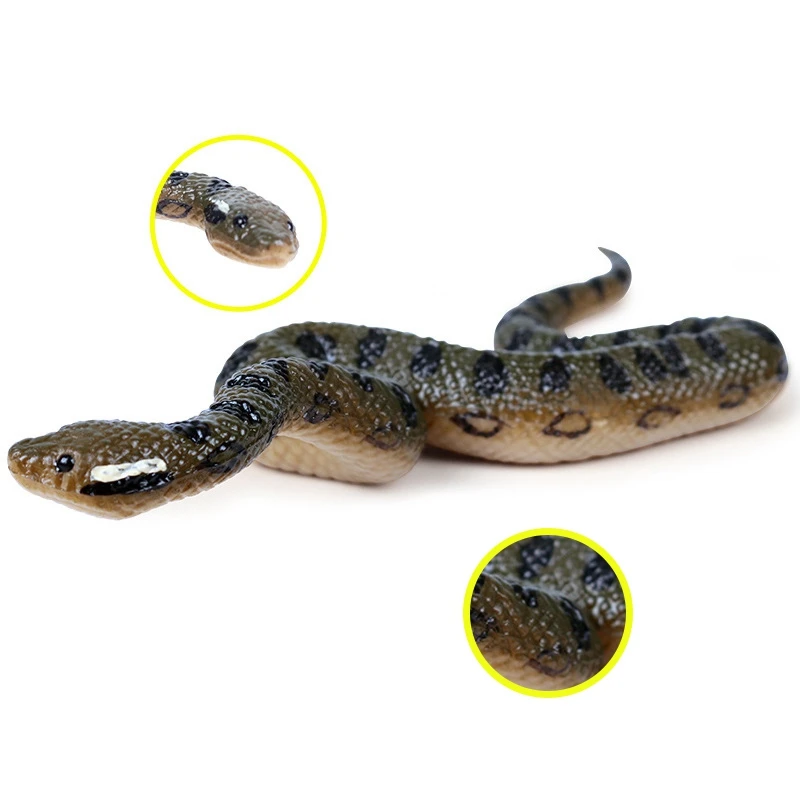 Simulation Anaconda Amphibian Snake Model Toy Child Wild Animal |