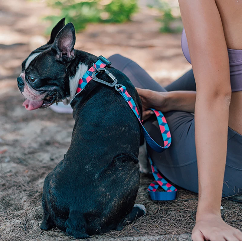 Поводок для домашних собак 2020 новый принт красочные поводки веревка Маленький