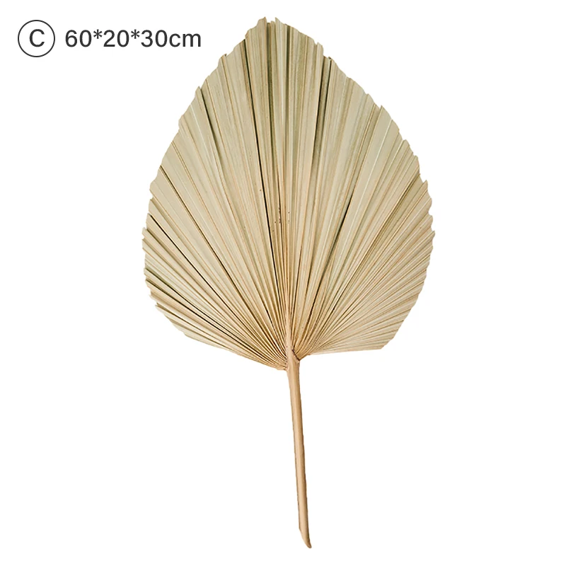 1pcs Palm Fan Leaf Dried Flower Window Reception Party Art Wall Hanging Decoration Wedding Arch Arrangement Hot sale | Дом и сад