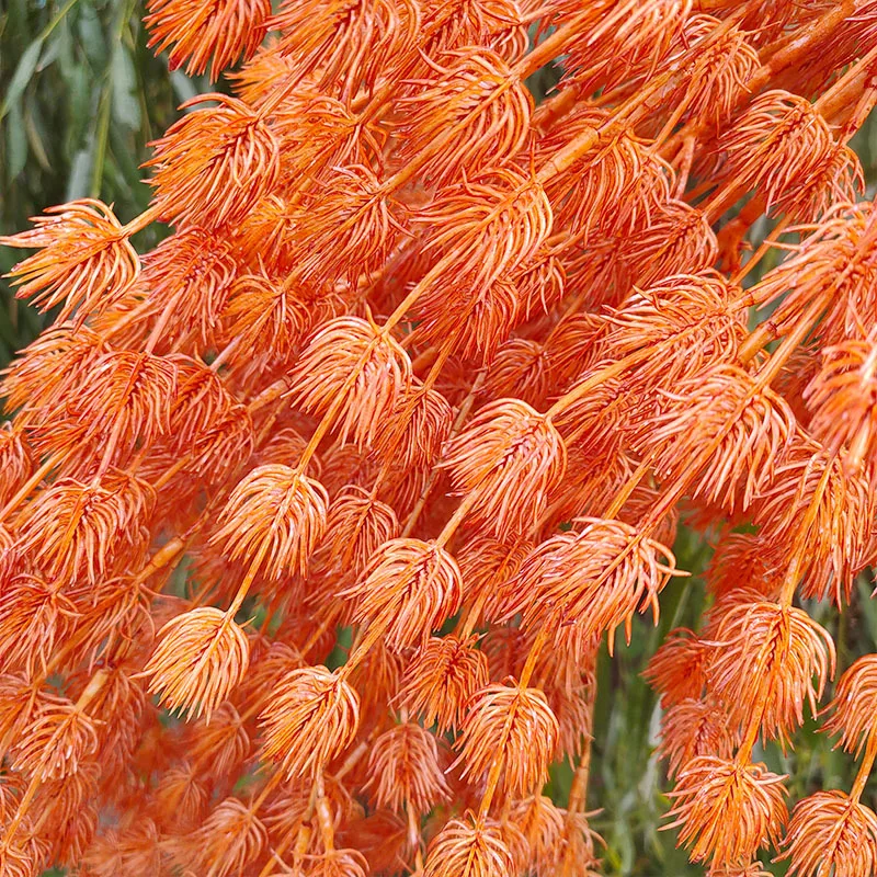 5 шт. большой размер свадебный фон цветок ветки искусственный осенний цвет