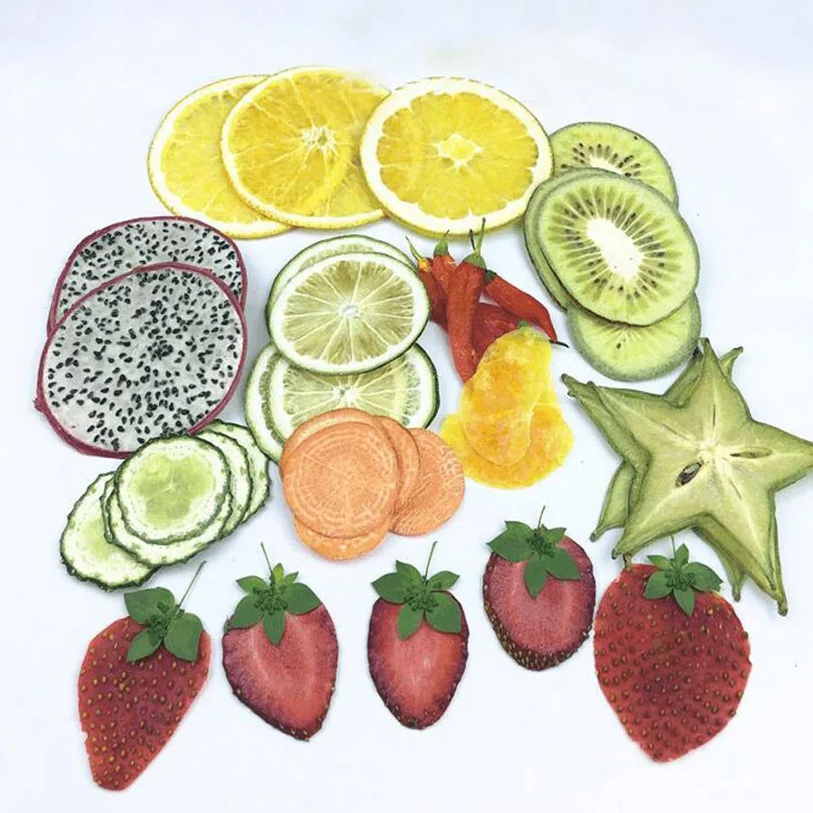 40 шт. сушеные прессованные смешанные фрукты + овощи Exopy ломтики гербарий из - Фото №1