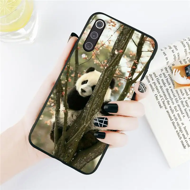 

Cute animal panda Phone Case For Xiaomi Redmi note 7 8 9 t k30 max3 9 s 10 pro lite Luxury brand shell funda coque