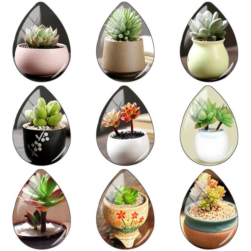 

TAFREE Succulent plants full of life 18x25mm Handmade Tear Drop Shape Glass Cabochon Dome Flat Back Jewelry Making Findings DR01