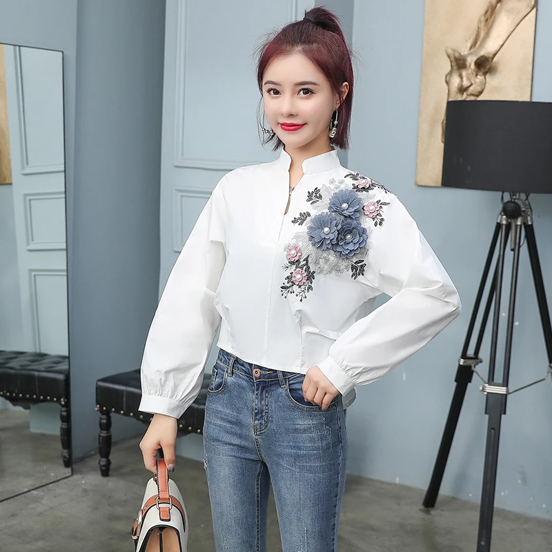 COIGARSAM новая весенняя рубашка женские Топы с длинным рукавом вышивка 2020 куклы