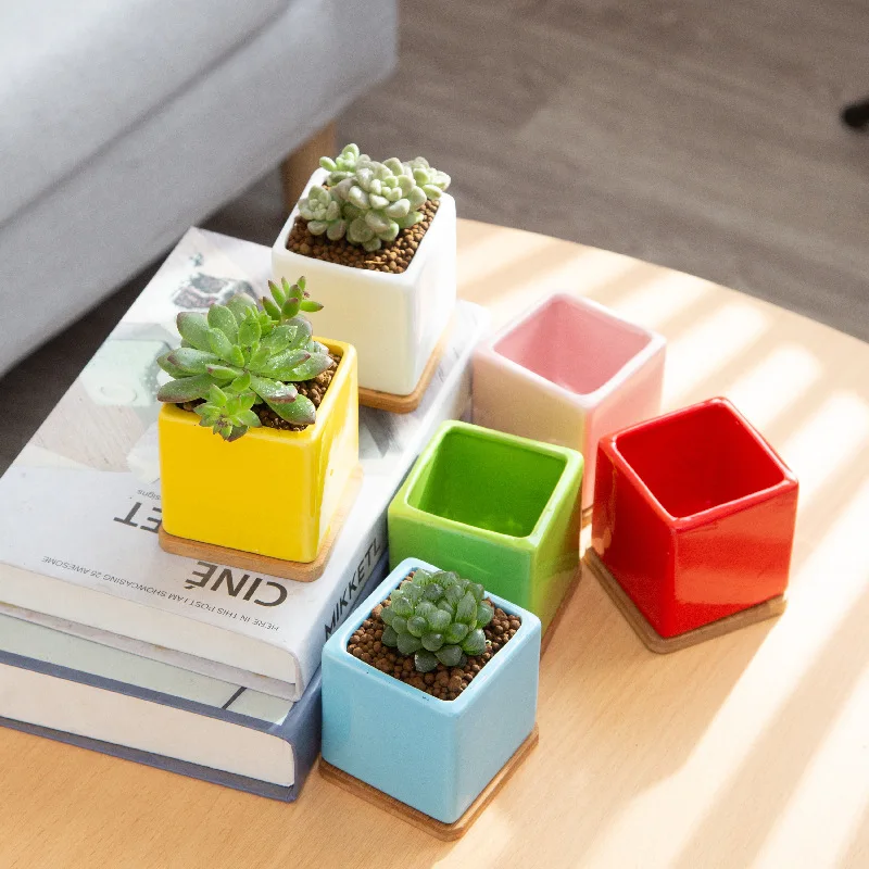 

6 Pcs / Combination Set Flower Pot Multi Color Square Ceramics With Wood Tray Mini Plant Pot Set Flower Shop Special Use