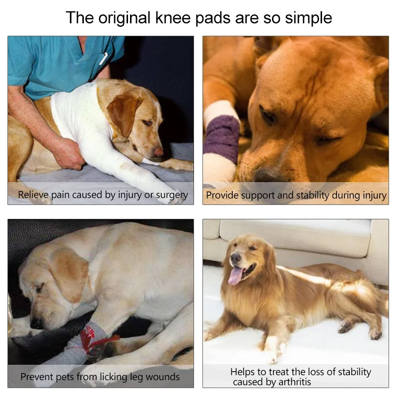 Повязка на колено для собак защита суставов у медицинские принадлежности | Дом и