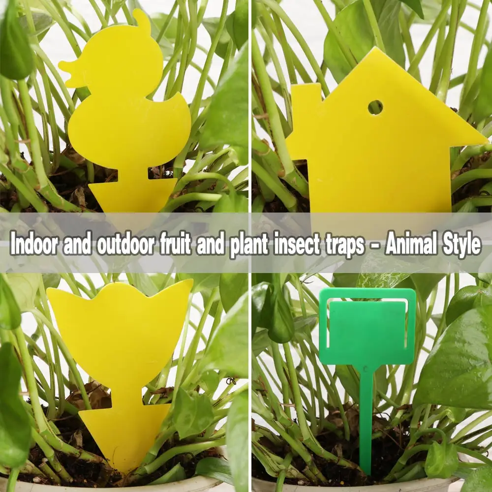 Ловушка для мух и фруктов приманка грибов насекомых улицы дома 10 шт.|Репелленты| |