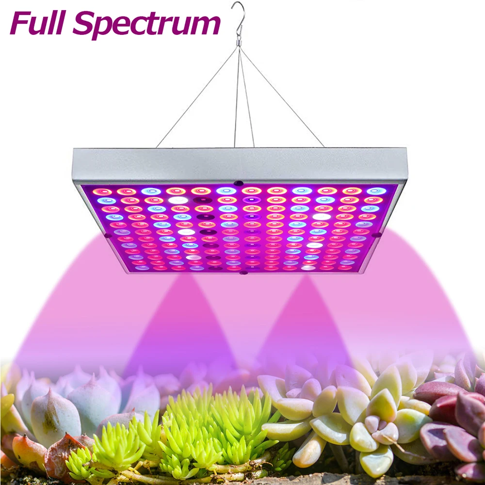 

US/EU/UK/AU Plug LED Grow Light 25W 45W Full Spectrum LED Floodlight For Greenhouse Flowers Seedlings Plant Growing Phyto Lamp