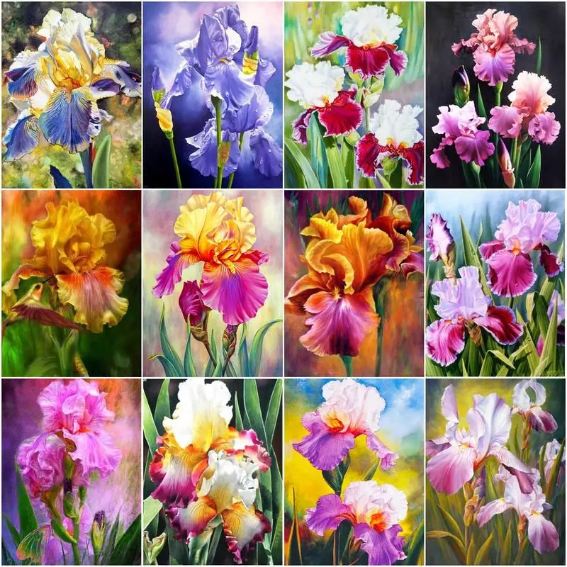 

GATYZTORY DIY 40x50cm Framed Painting By Numbers Iris Flowers For Adults Kids On Canvas Painting Kits Acrylic Pigment Gift