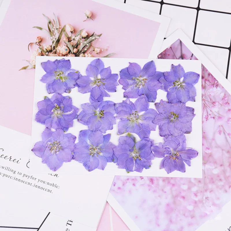 Style A Blue 12 шт./упак. консервированные Цветочные прессованные цветы маленькие сушеные цветы для скрапбукинга сухие DIY чехол для телефона Mini bloemen flores secas - Цвет: Style A Blue