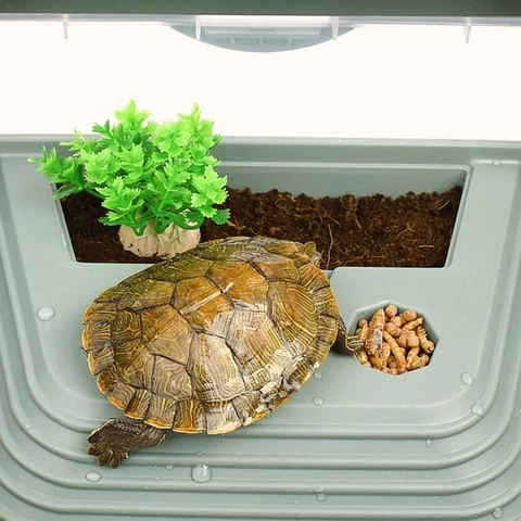 Аквариум для черепах - купить недорого | AliExpress