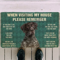 3d please remember shorthaired pointers dogs house doormat indoor doormat non slip door floor mats decor porch doormat