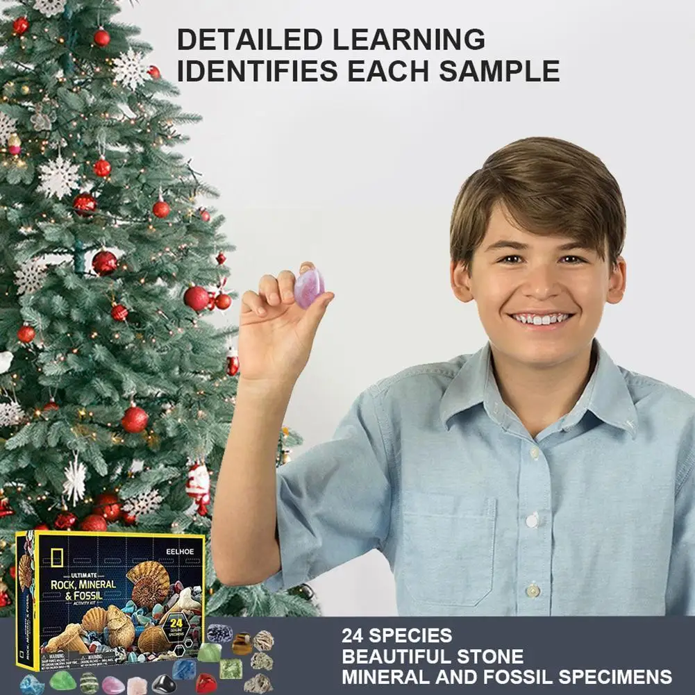

Mega Fossil Dig Kit Christmas Advent Calendar Mineral Advent Box Early Gift Childhood Funny Fidget Calendar Toys Education M6S0