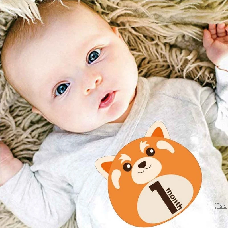 

New 12 Pcs Animal First Year Monthly Milestone Photo Sharing Baby Belly Stickers 1-12 Months