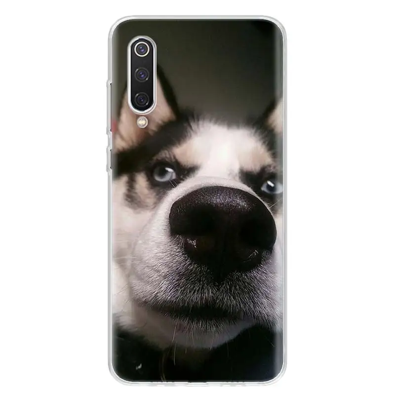 

Cute dog Wacky Husky Phone Case for Xiaomi Redmi Note 9 9S 8T 8 7 8A 7 7A 6 6A 5 5A 4X S2 K20 K30 Pro Fashion Cover Coque